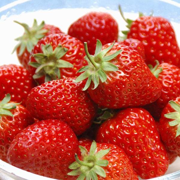 草莓二