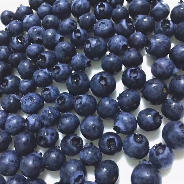 蓝莓一